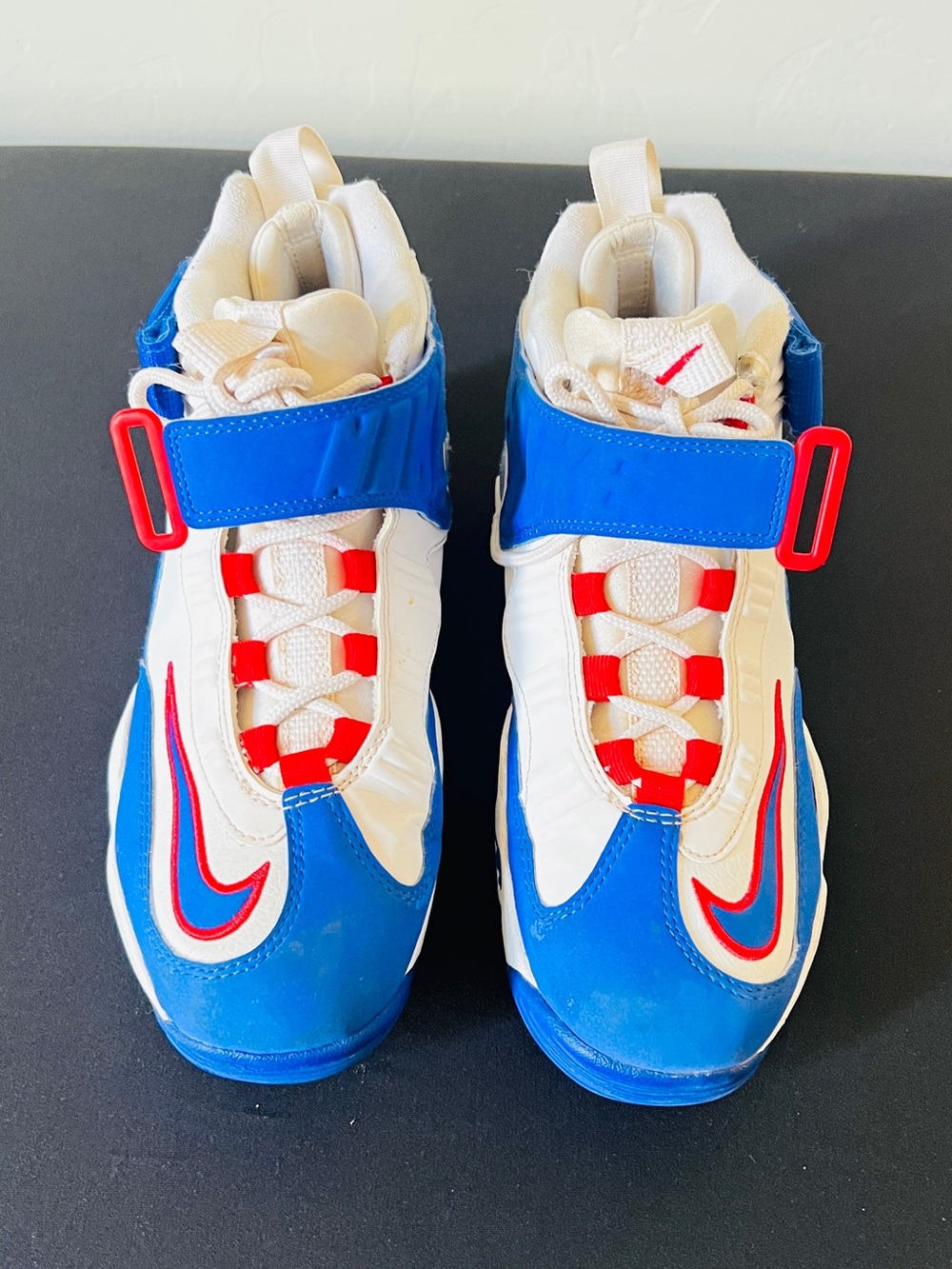 Nike Air Griffey Max 1
